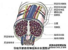 天津男科医院专业诊疗早泄，阳痿，包皮过长，前列腺炎、泌尿感染 大城市无论是经济，还是医疗水平都很发达，所以当我们选择疾病的治疗时，就有了更多的选择性，然而想要在中毒